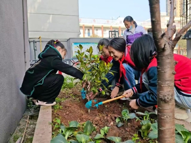 &ldquo;植&rdquo;此新绿　共赴春光